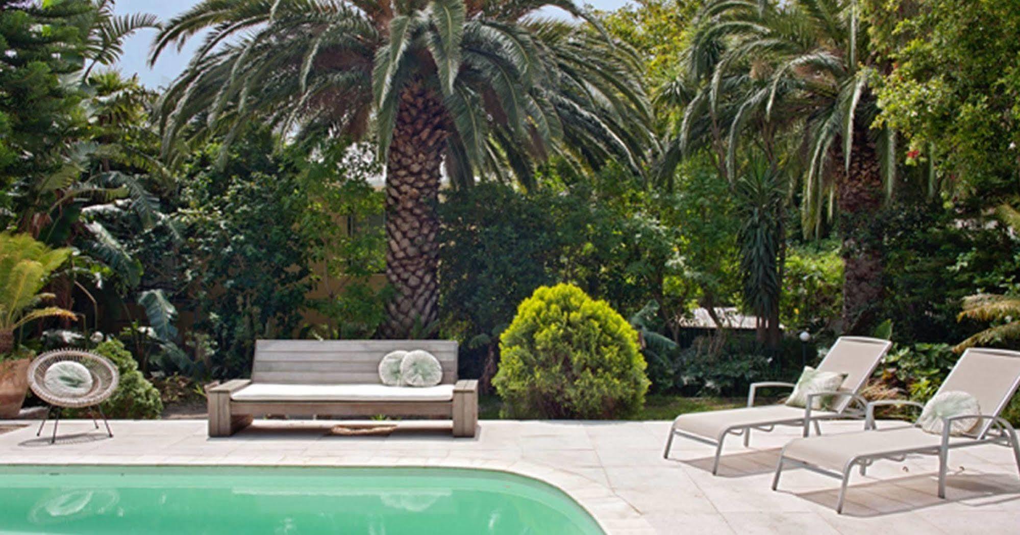 Cape Standard Guest House Cape Town Dış mekan fotoğraf