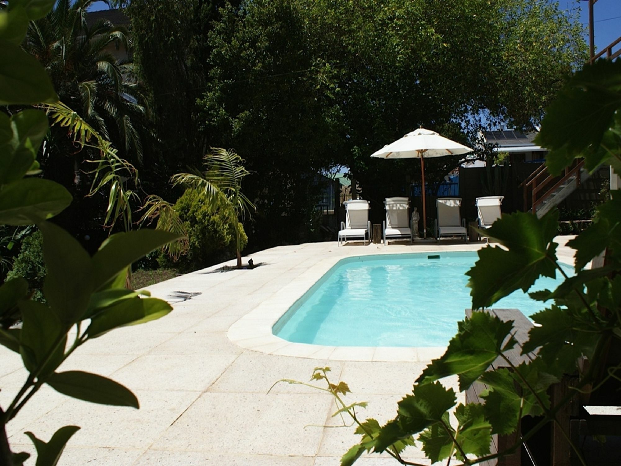 Cape Standard Guest House Cape Town Dış mekan fotoğraf